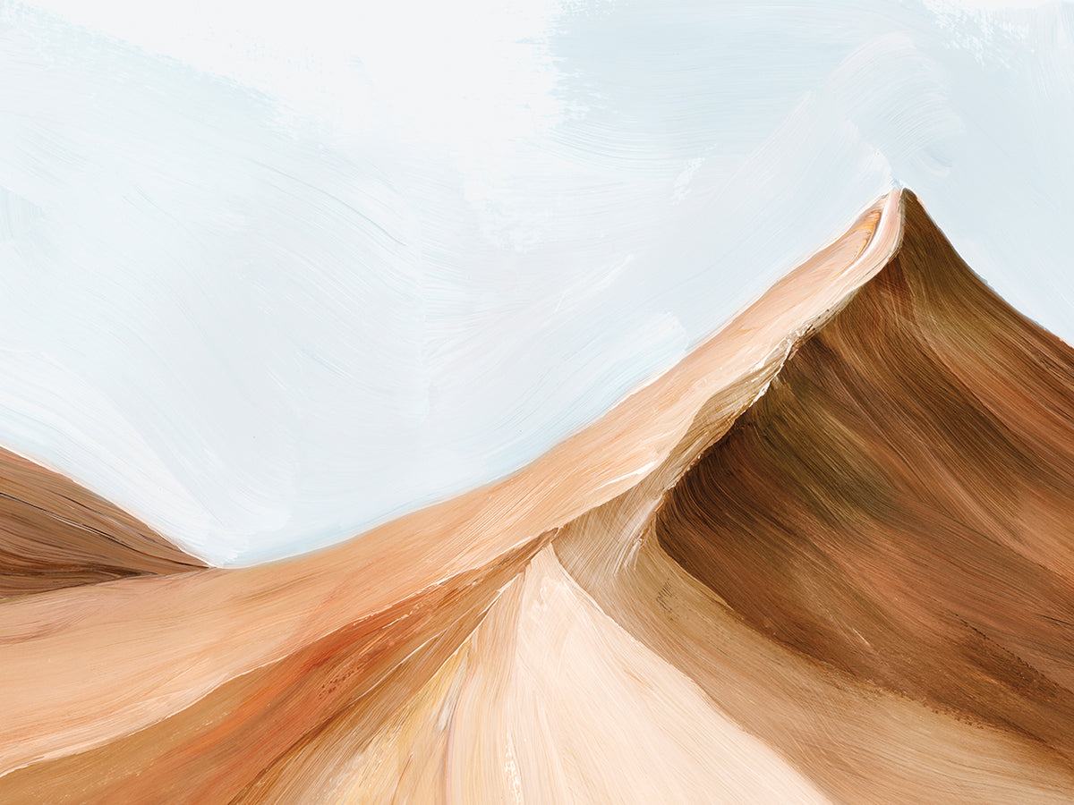Arizona Desert II