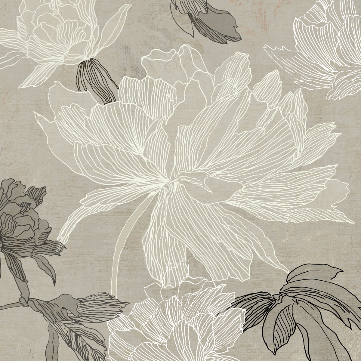Floral Lines II