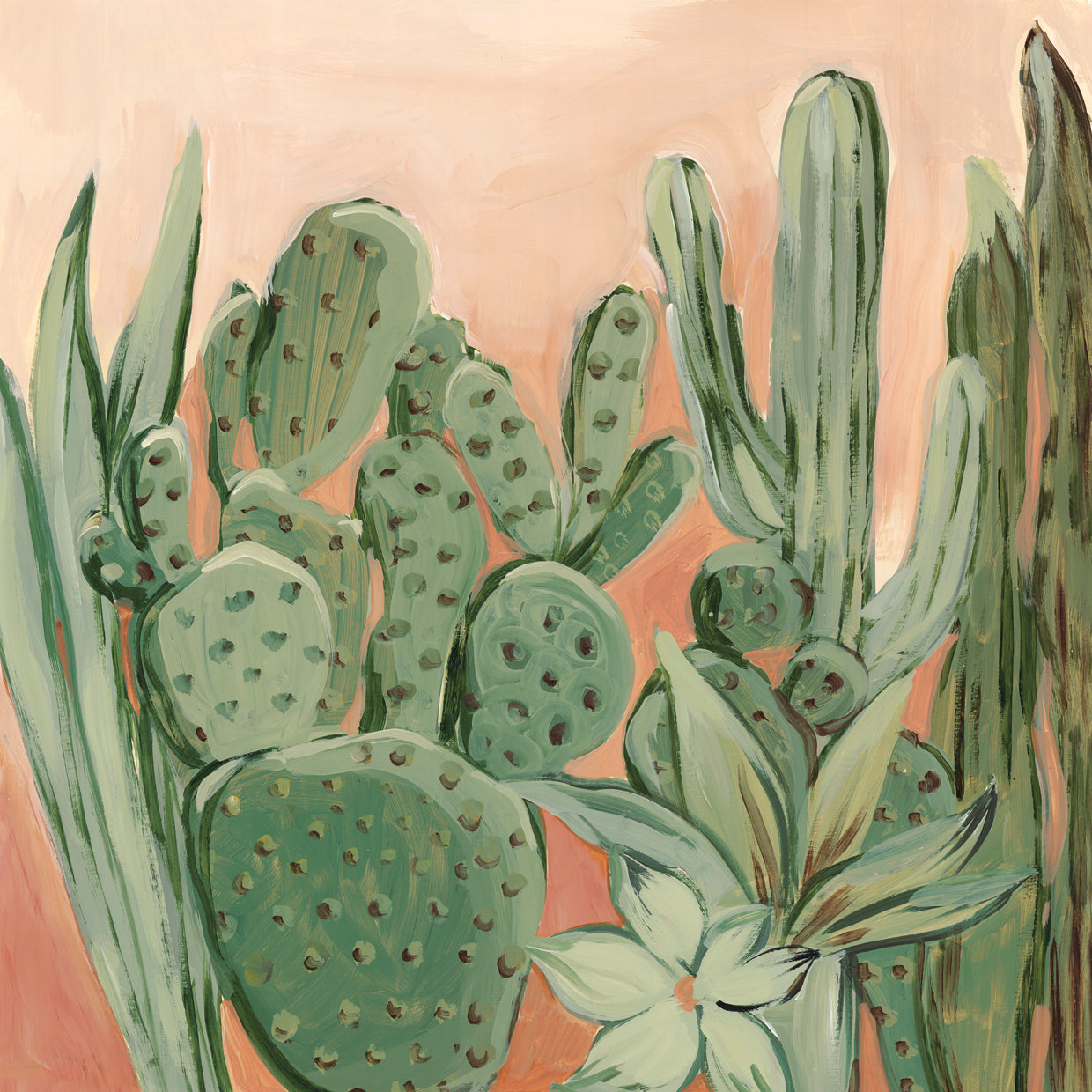 Cactus Heat