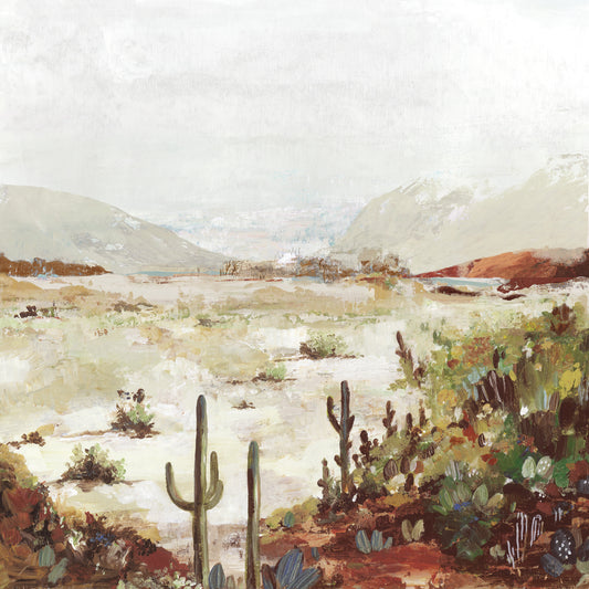 Cactus Canyon