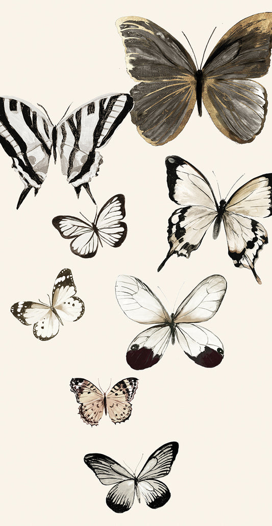 Butterflies Fly I Canvas Print