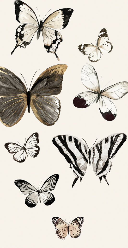 Butterflies Fly II Canvas Print