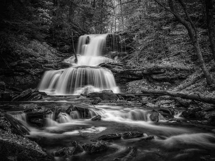 Tuscarora Falls