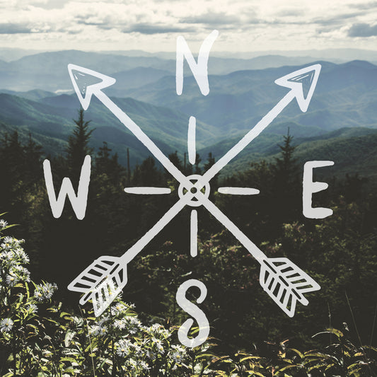 Compass Adventure Mountain Wildflowers
