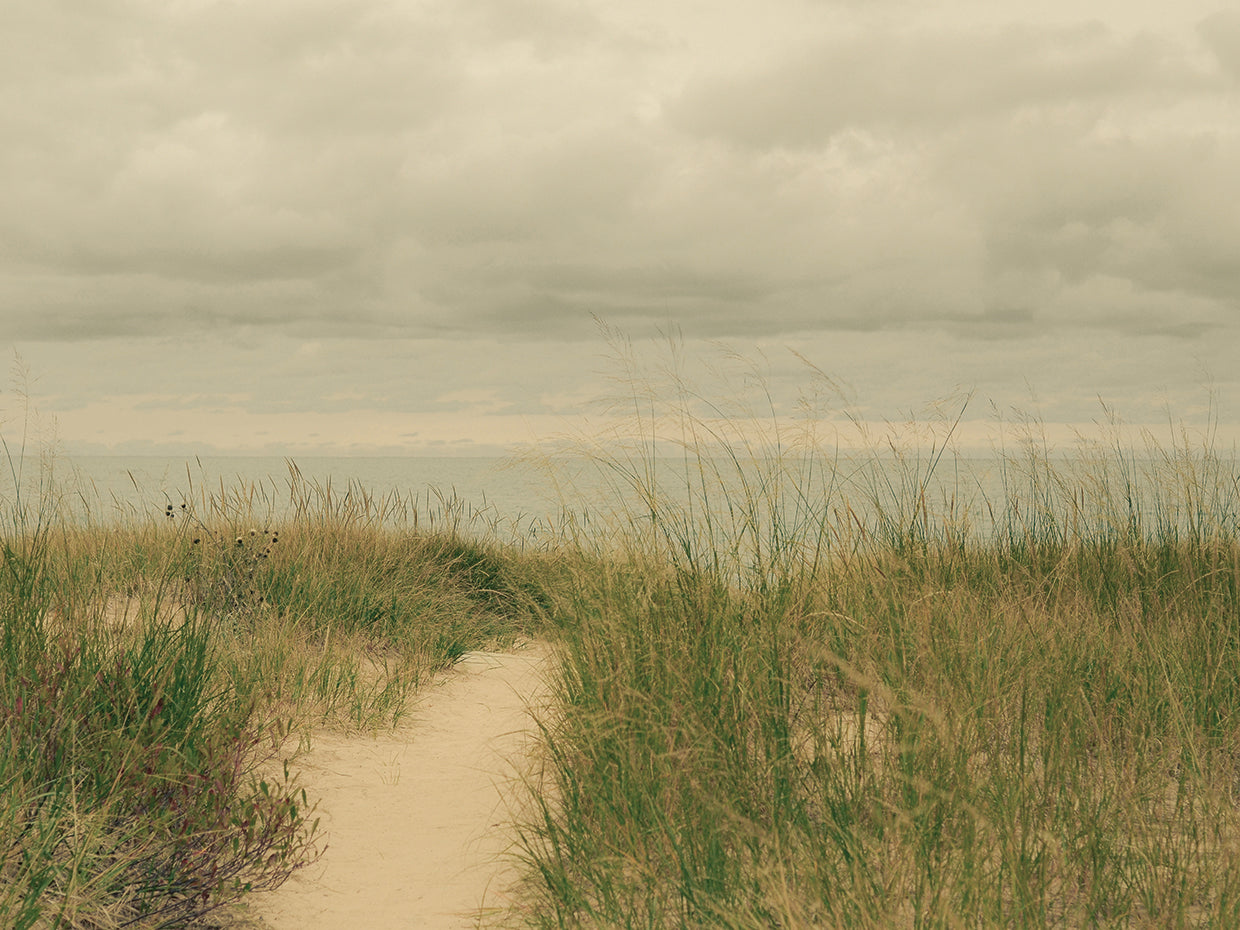 Beach Path