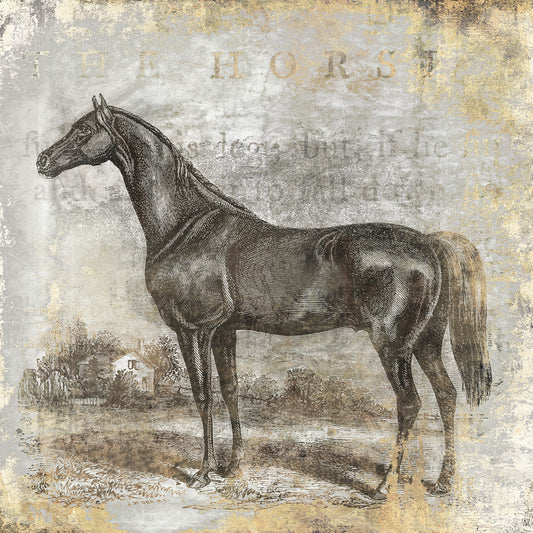 Gold Stallion I Canvas Print