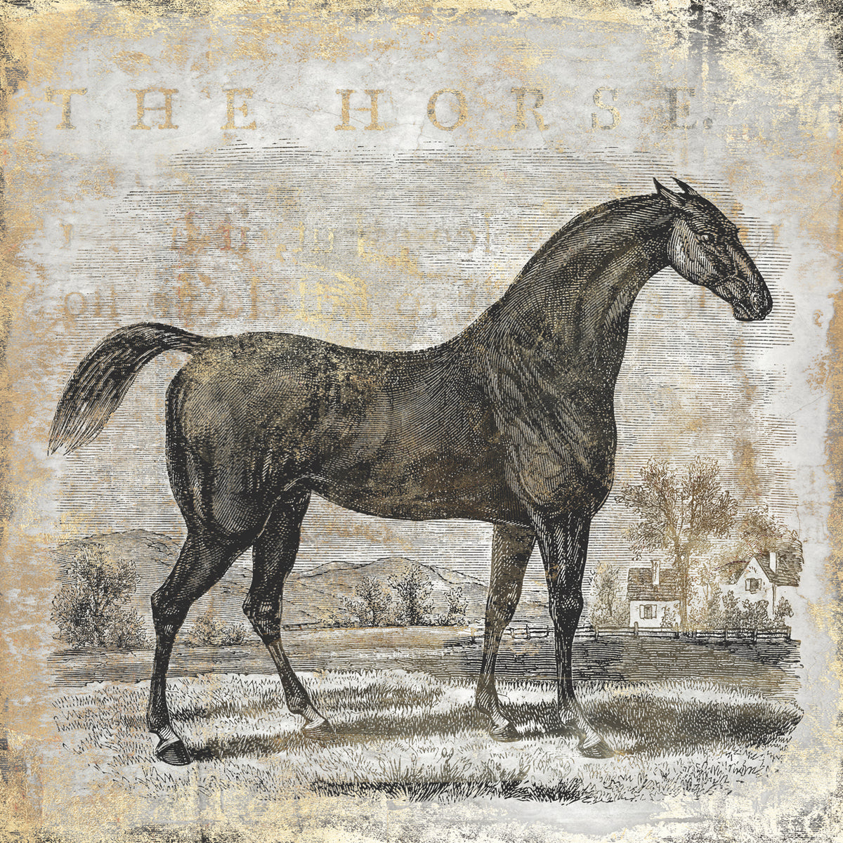 Gold Stallion II