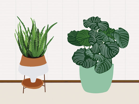 Potted Plant Friends II