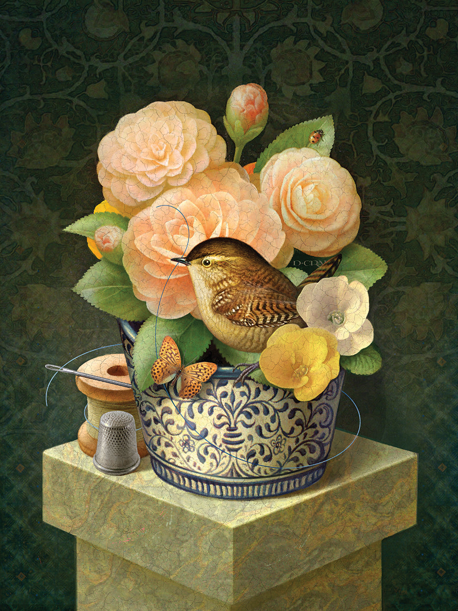 House Wren