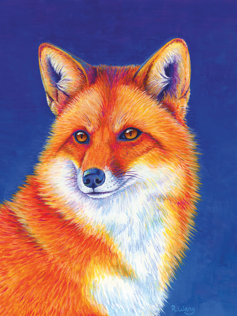Colorful Red Fox
