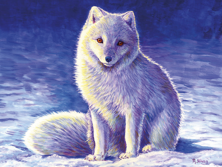 Peaceful Winter Arctic Fox