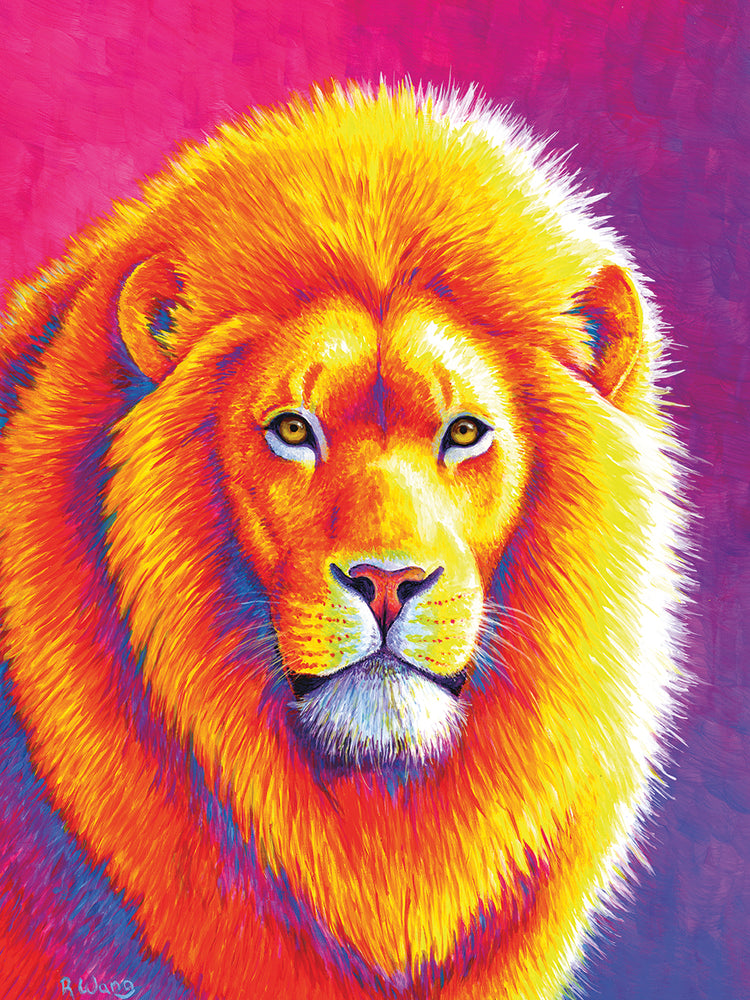 Sunset on the Savanna African Lion