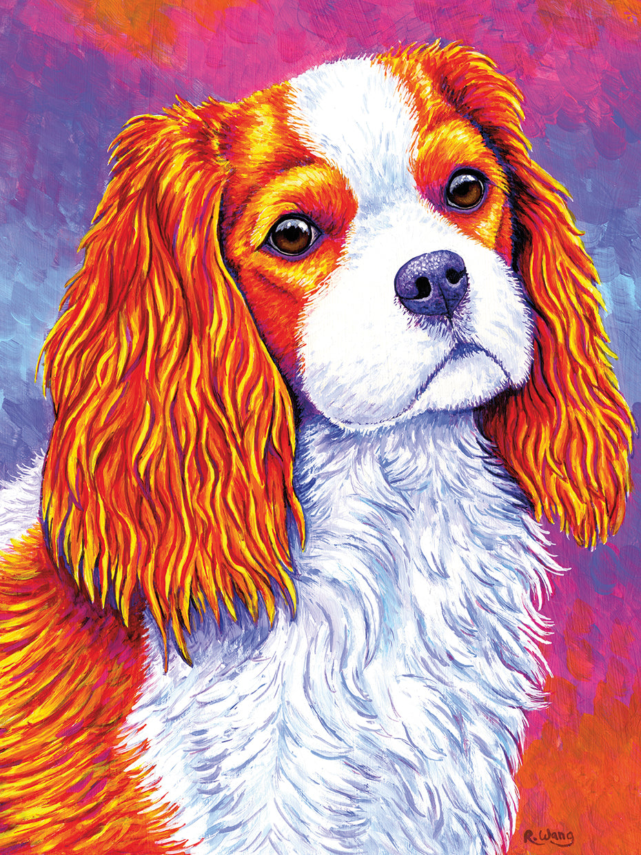 Cavalier King Charles Spaniel