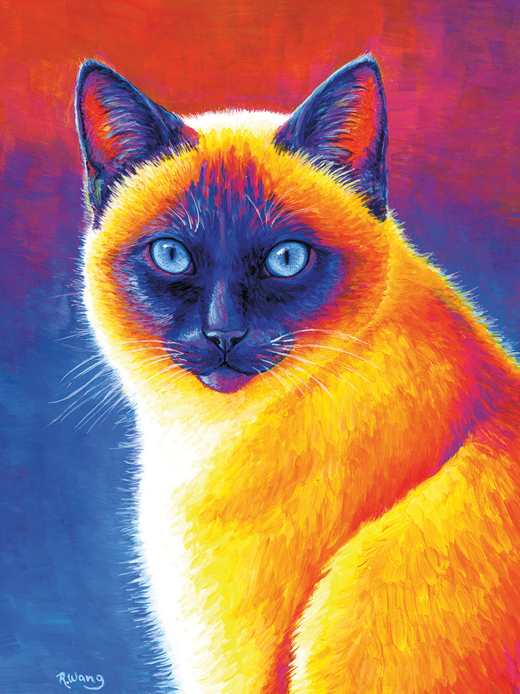 Colorful Siamese Cat