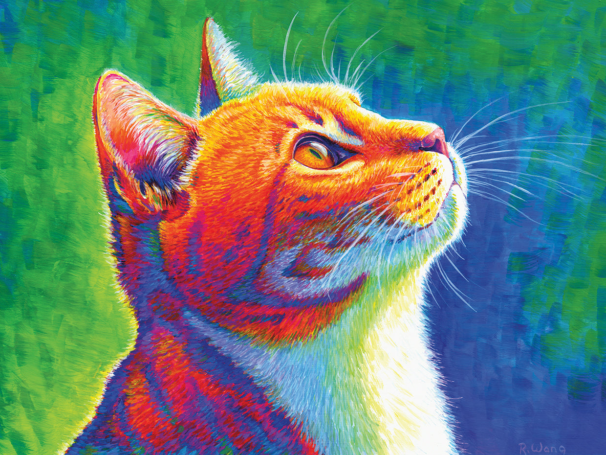 Rainbow Cat