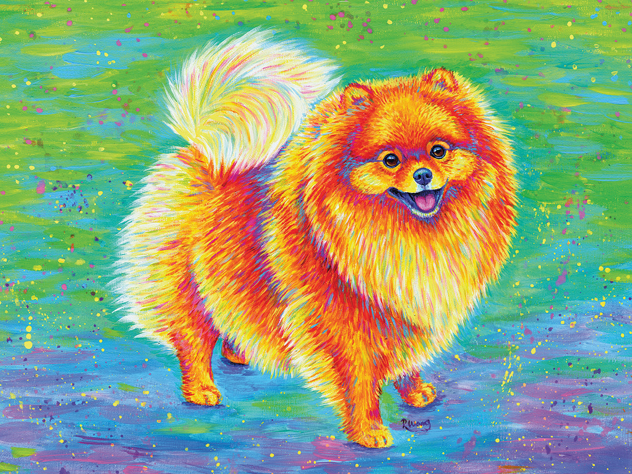 Rainbow Pomeranian