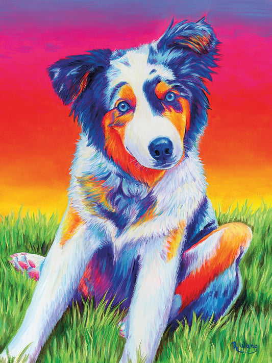 Blue Merle Aussie Puppy Canvas Print