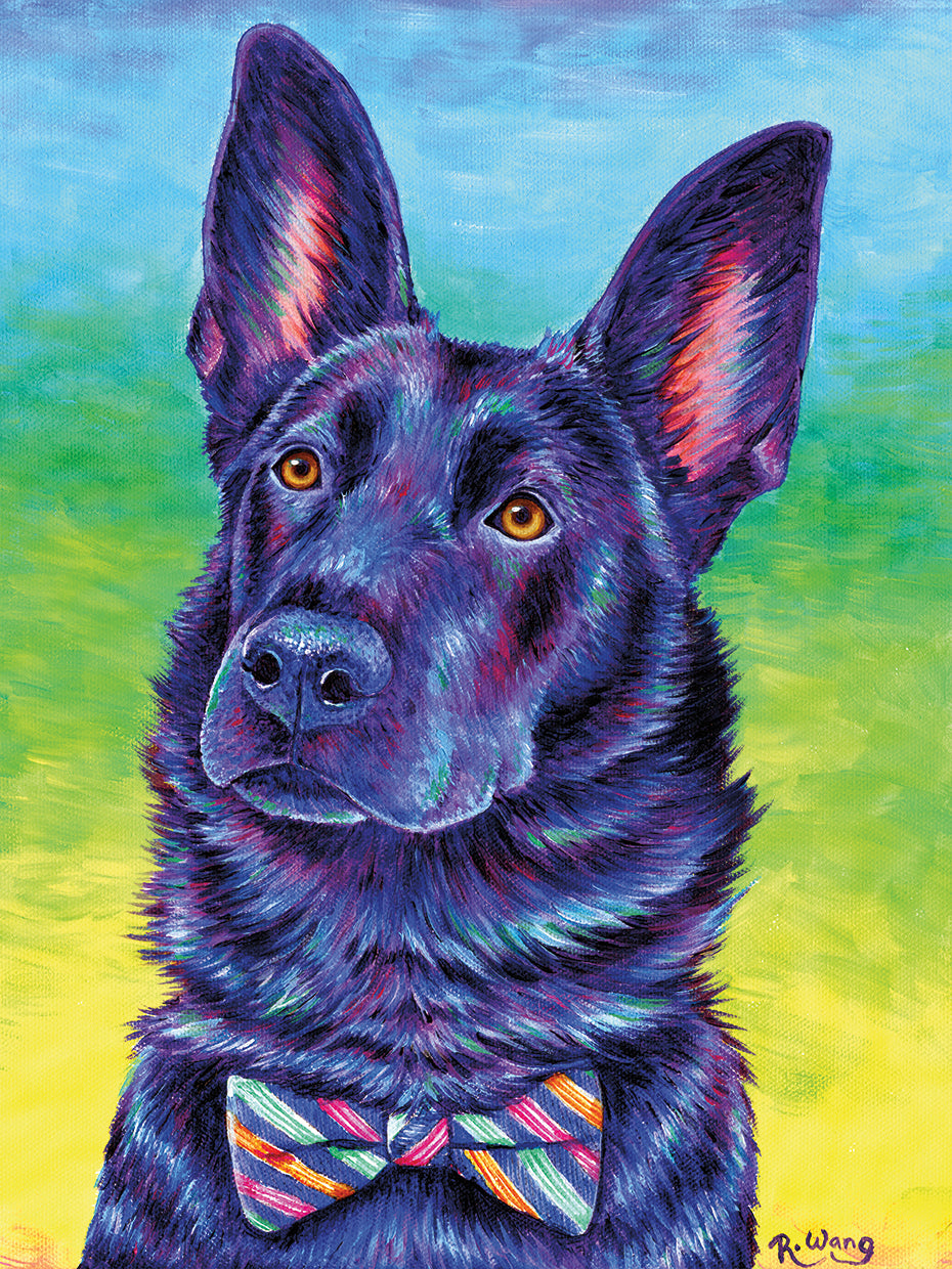 Colorful Black German Shepherd
