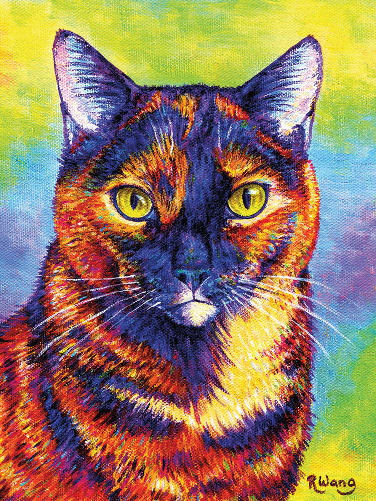 Colorful Tortoiseshell Cat