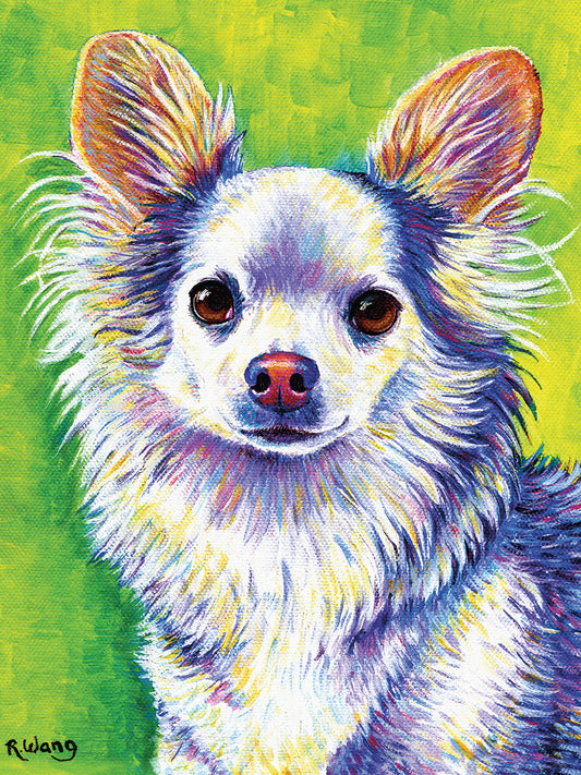 Cute Chihuahua Canvas Print