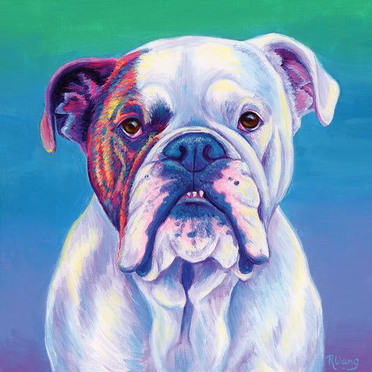 Cute English Bulldog Canvas Print