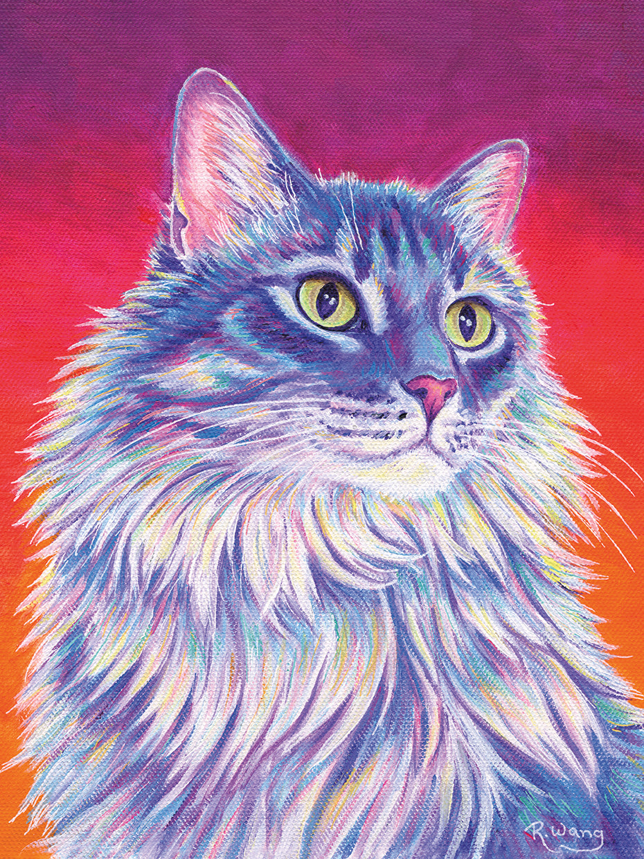 Longhaired Purple Tabby Cat