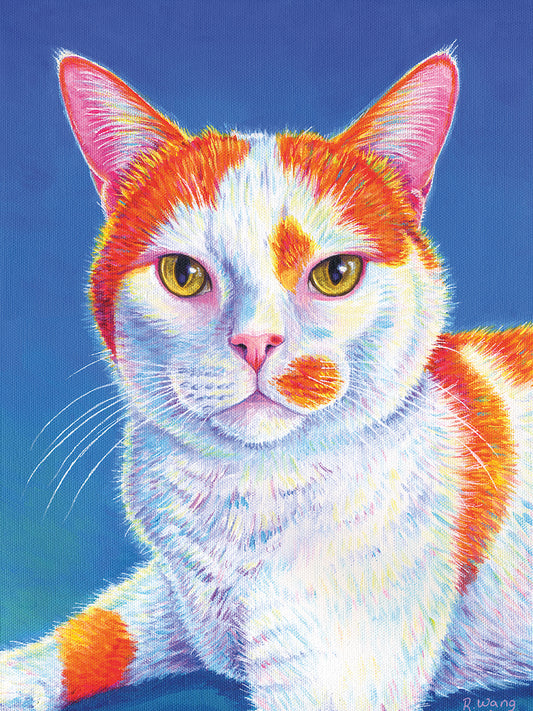 Orange and White Cat on Blue Canvas Print