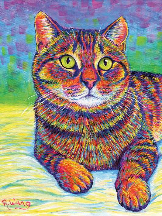 Rainbow Brown Tabby Canvas Print