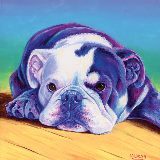 Sweet English Bulldog Canvas Print