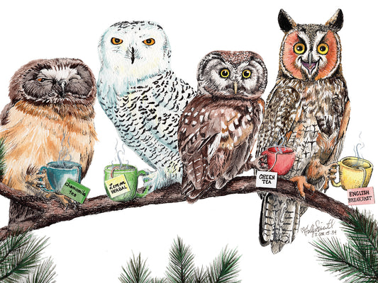 Tea Owl Canvas Print