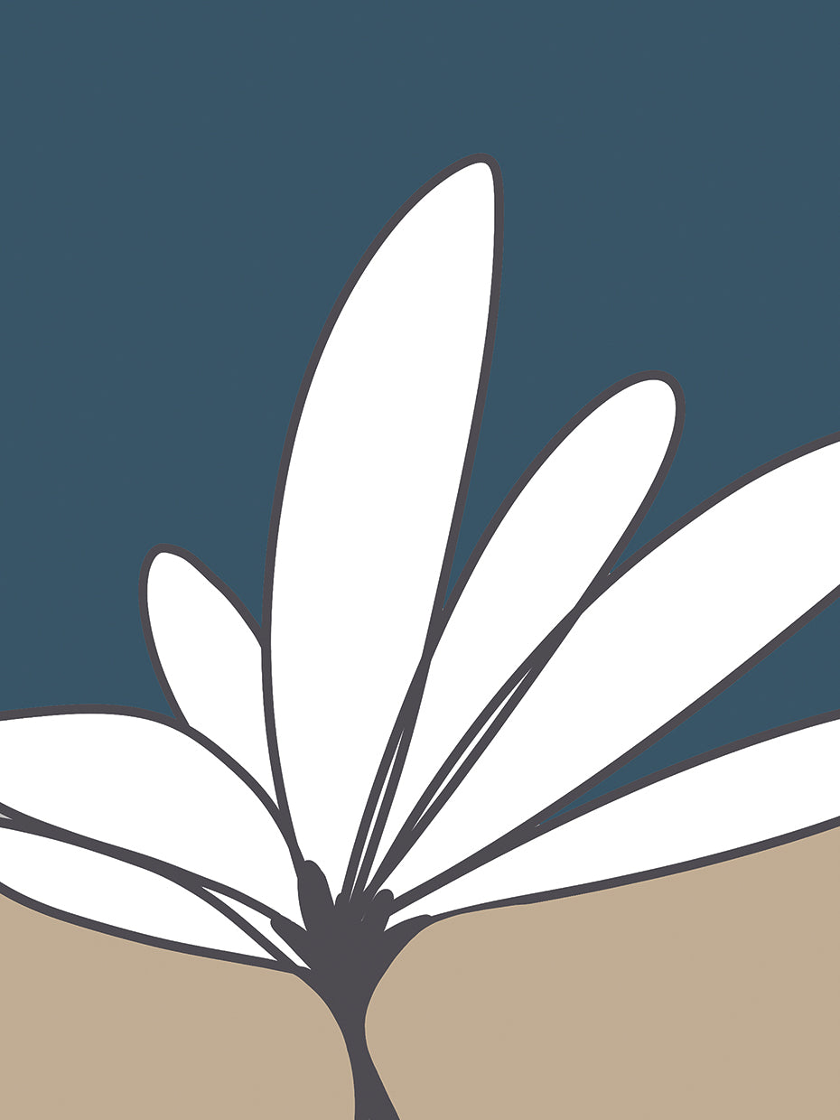 Daisy 03