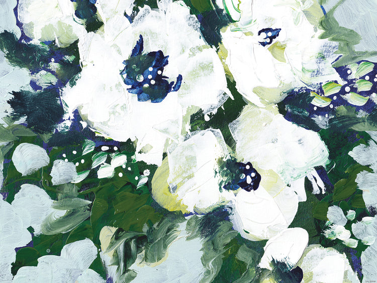 Pétalos blancos Lienzo