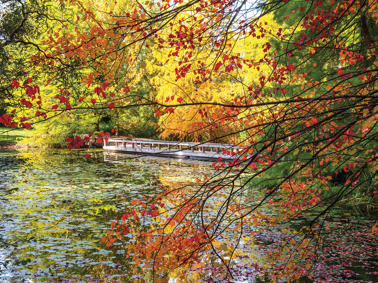 Fall Beauty & Reflection