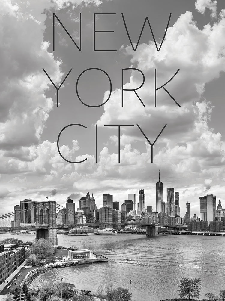 NYC Lower Manhattan & Brooklyn Bridge | Text & Skyline