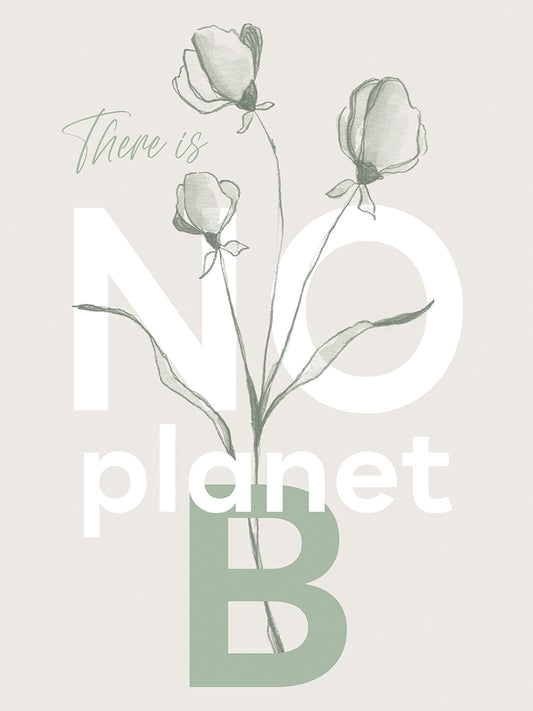 There is no planet B Canvas Print