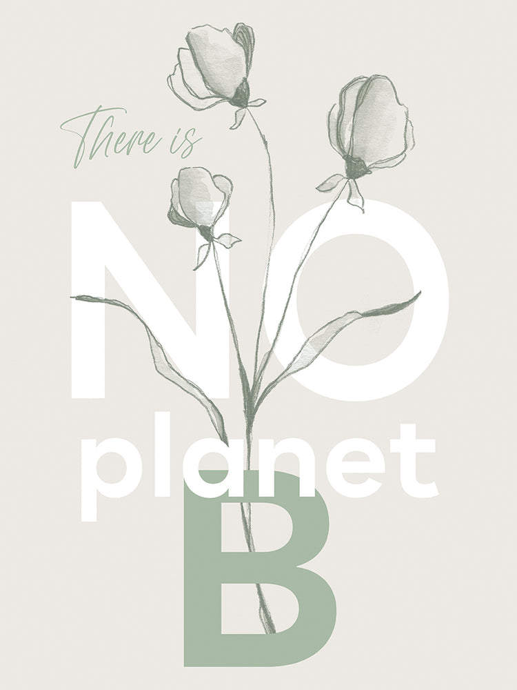 There is no planet B