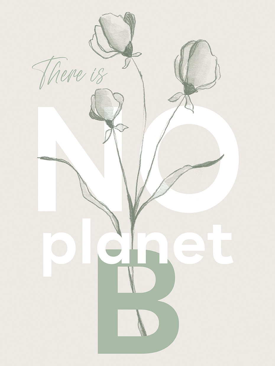 There is no planet B
