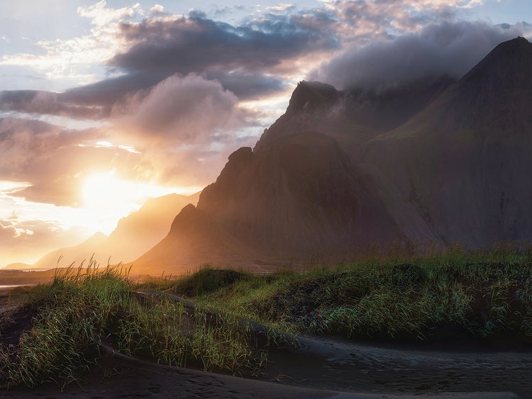 Warmth of The Arctic