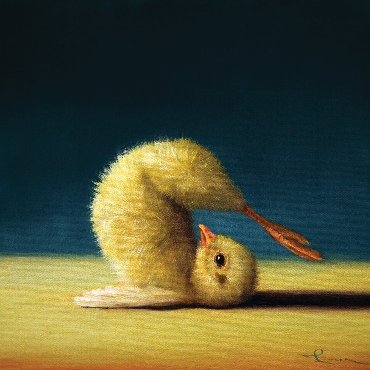Yoga Chick Plow Pose