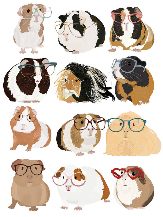 Guinea Pigs In Glasses Canvas Print
