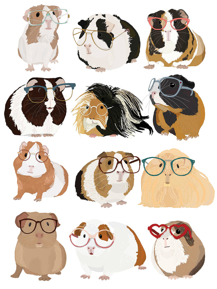 Guinea Pigs In Glasses
