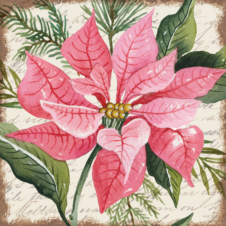 Pink Poinsettia Botanical