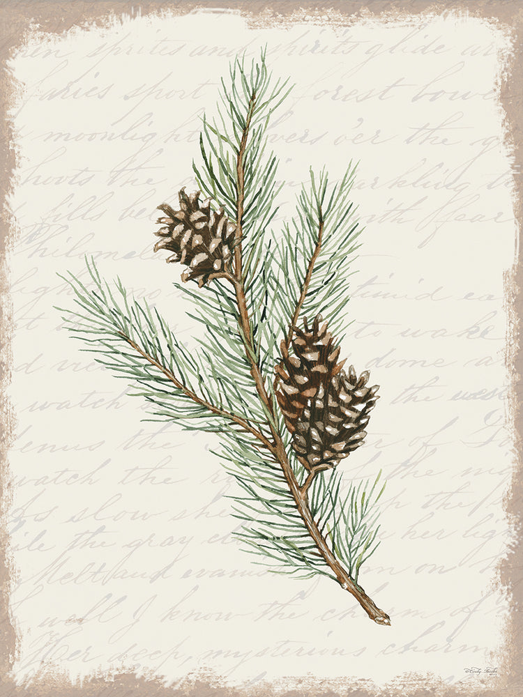 Pine Cone Botanical II
