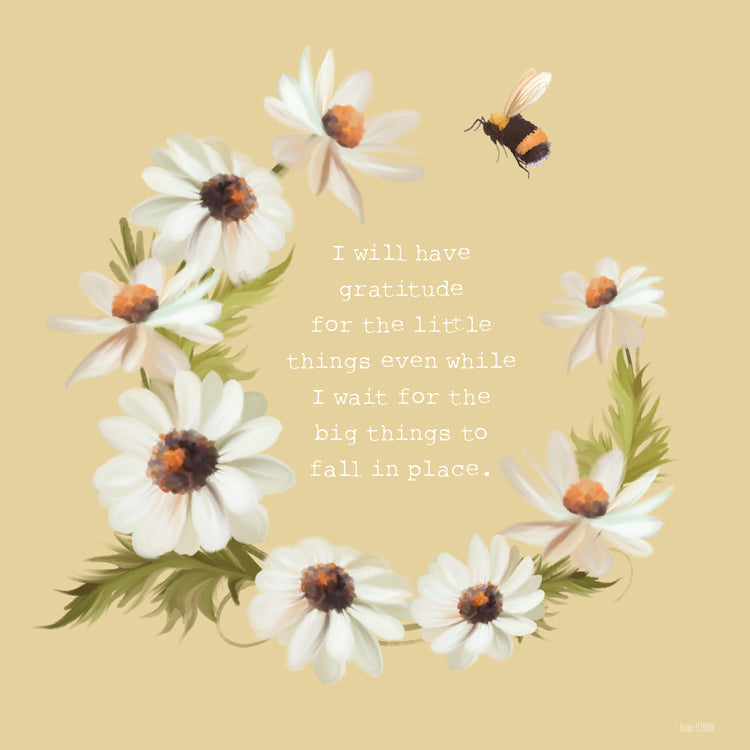 Gratitude for the Little Things