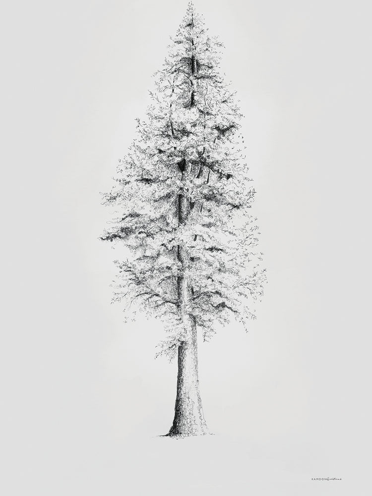 When a Redwood Isn't Red