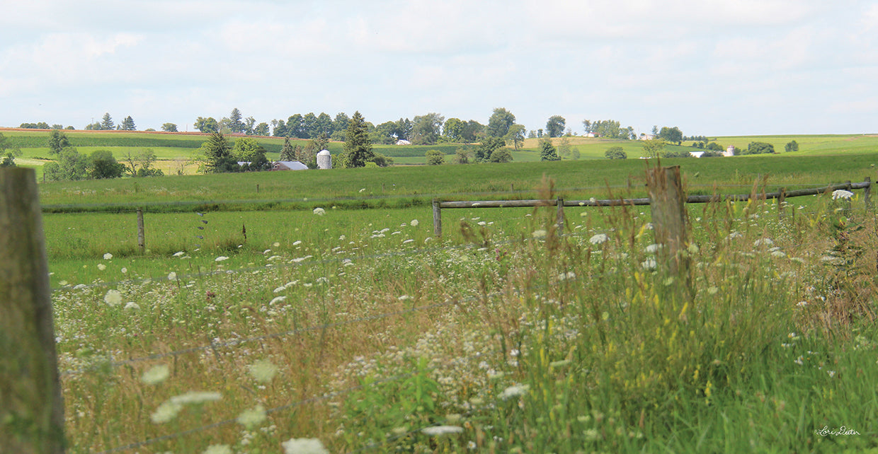 Along the Country Road