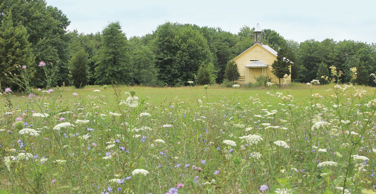 Charming Countryside