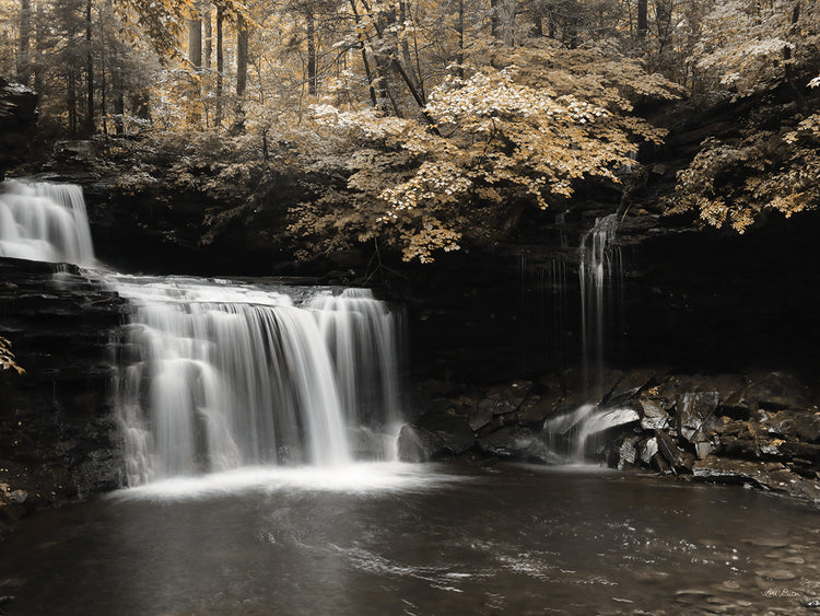 Golden Waterfall I