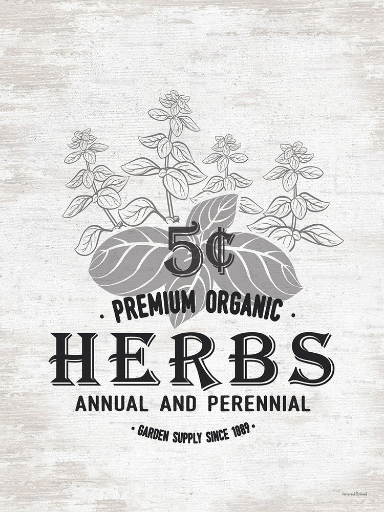 Hierbas orgánicas premium Lienzo