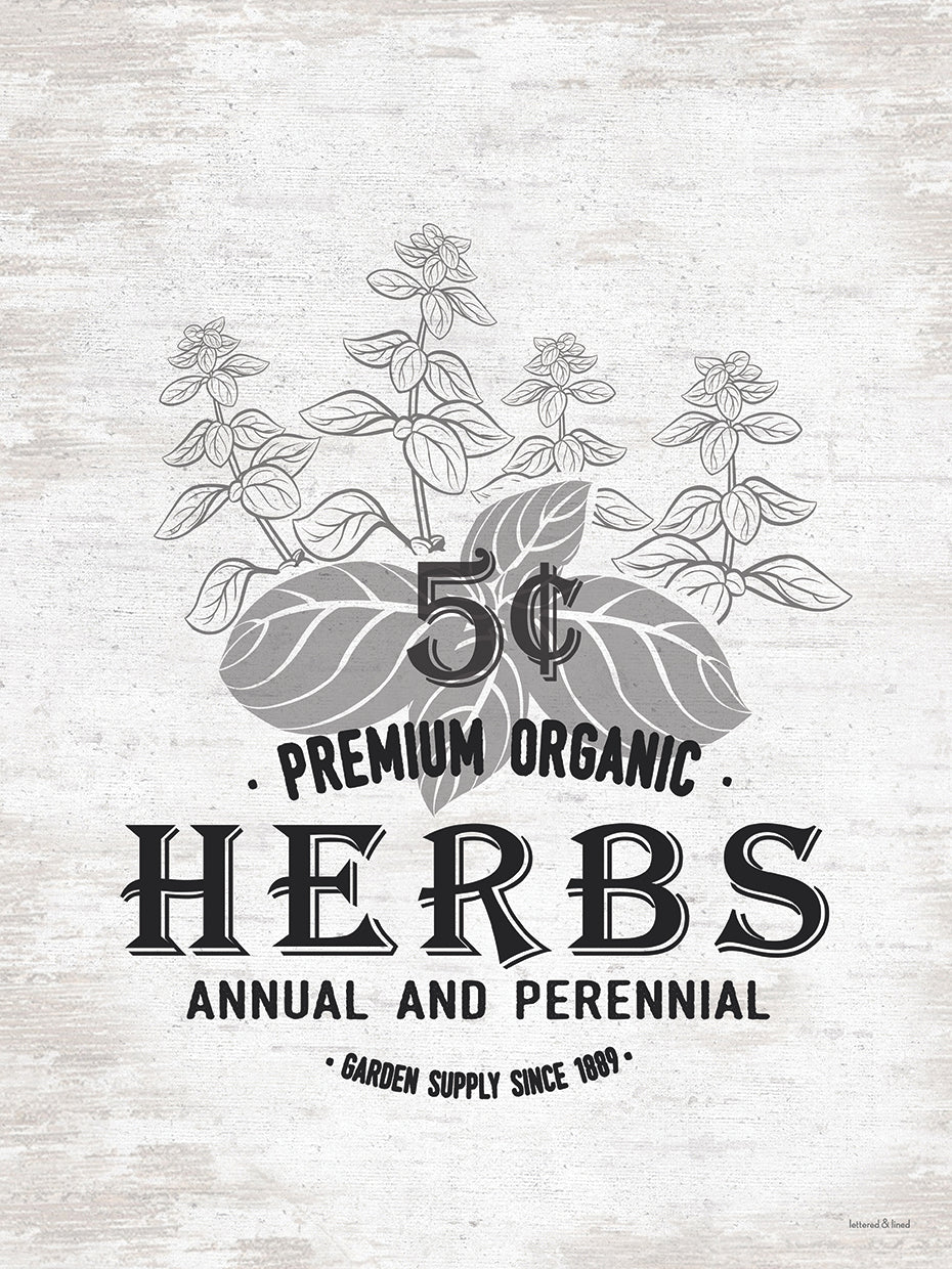 Hierbas orgánicas premium Lienzo